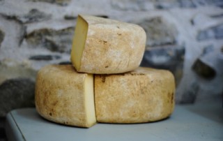 a blog about cheese